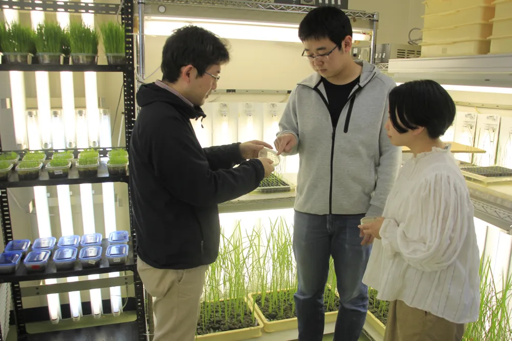 岡山大学 環境生命自然科学研究科/資源植物科学研究所 植物-昆虫間相互作用グループ 害虫に対する植物の巧妙な防御戦略をひも解く