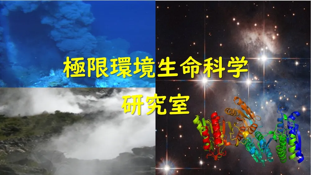 早稲田大学 極限環境生命科学研究室 人類から微生物まで、全生物共通の